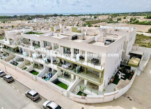 Apartment - Wiederverkauf - El Pinet - SP4509