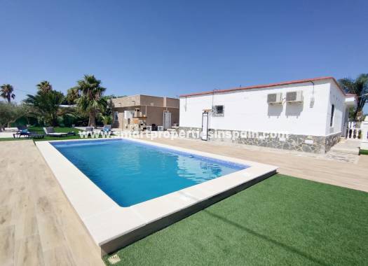 Finca - Wiederverkauf - Elche - 2sp516