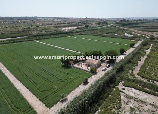 Finca - Wiederverkauf - Elche - Elche