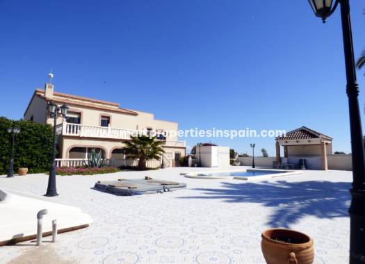 Finca - Wiederverkauf - Elche - SP3539