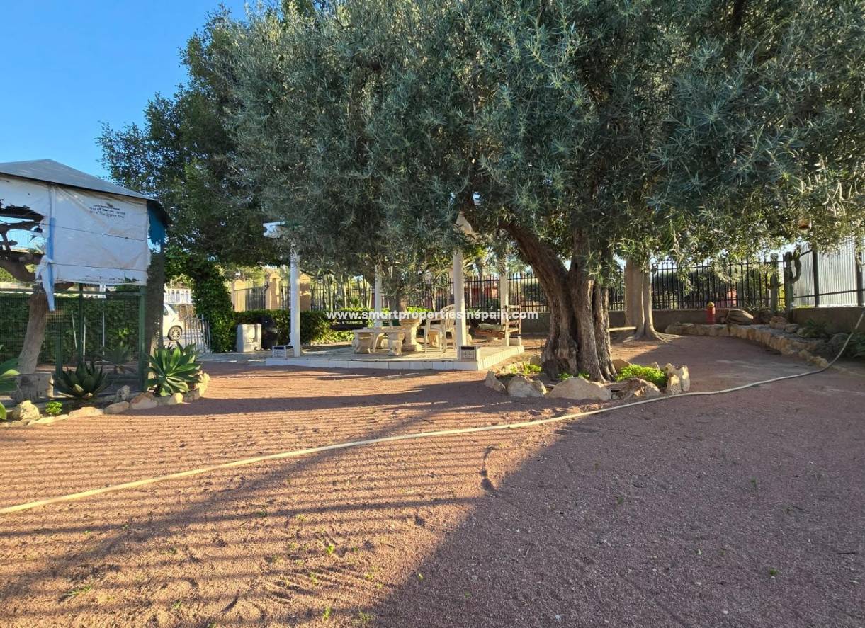 GARDEN