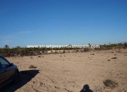 Grundstuck - Wiederverkauf - Elche - SP3236