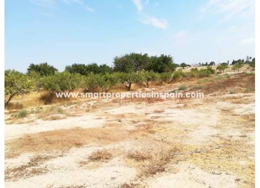 Grundstuck - Wiederverkauf - Elche - SP3402