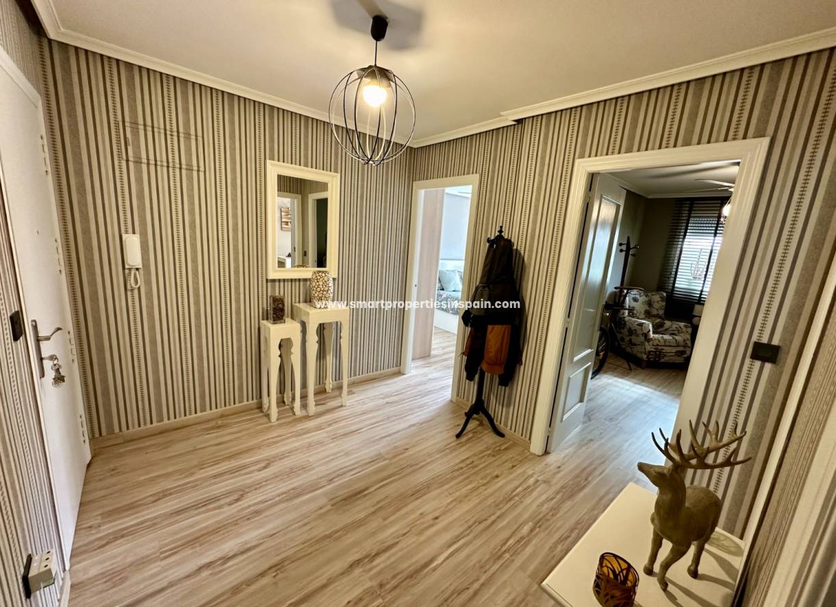 Long Term Rentals - Apartment - La Marina - La Marina Village