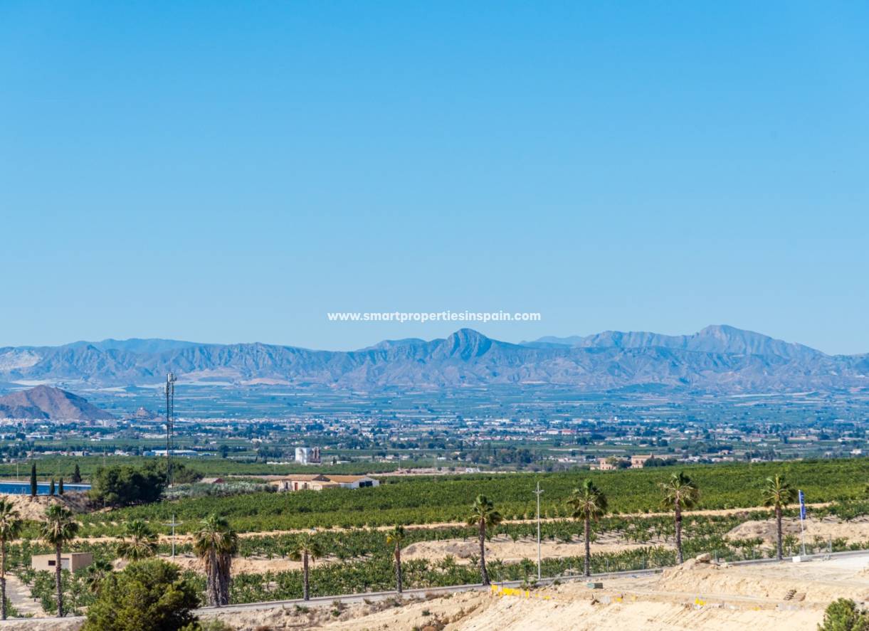 New Build - Detached Villa - Algorfa