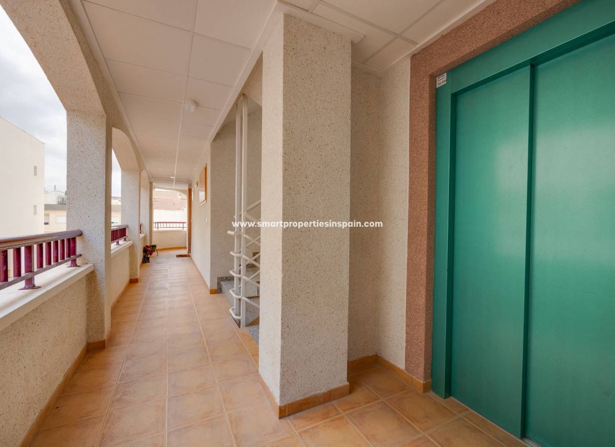 Nouvelle construction - Appartement - San Fulgencio