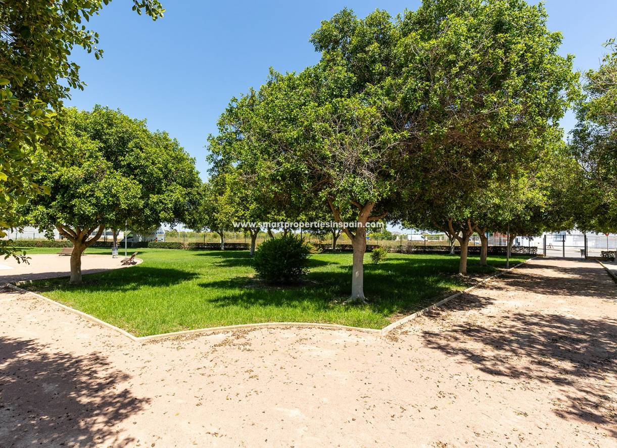 Nouvelle construction - Maison Mitoyenne - Rafal - rafal