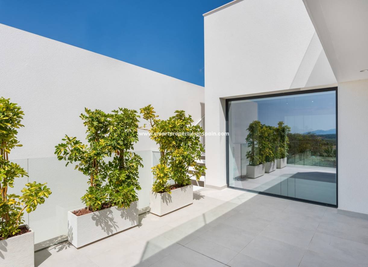 Obra Nueva - Chalet Independiente - Benijofar