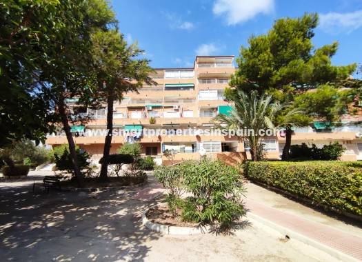 Piso - Reventa - Guardamar  - SP4102