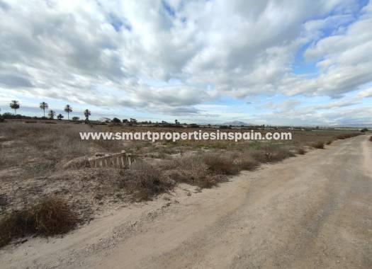 Plot - Resale - Elche - SP4132