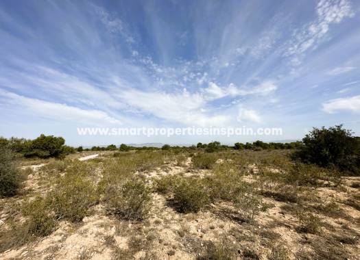 Plot - Resale - La Marina - Urbanización La Marina