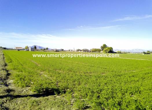 Plot - Wederverkoop - Dolores - 2sp505