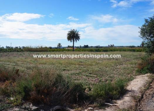 Plot - Wederverkoop - Elche - SP3296