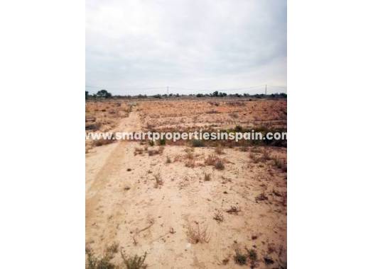 Plot - Wederverkoop - Elche - SP3541