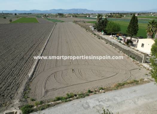 Plot - Wederverkoop - San Fulgencio - San Fulgencio