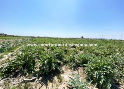 Plot - Wederverkoop - San Fulgencio - SP3888