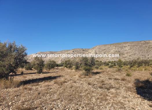 Plot - Wederverkoop - Villena - Villena
