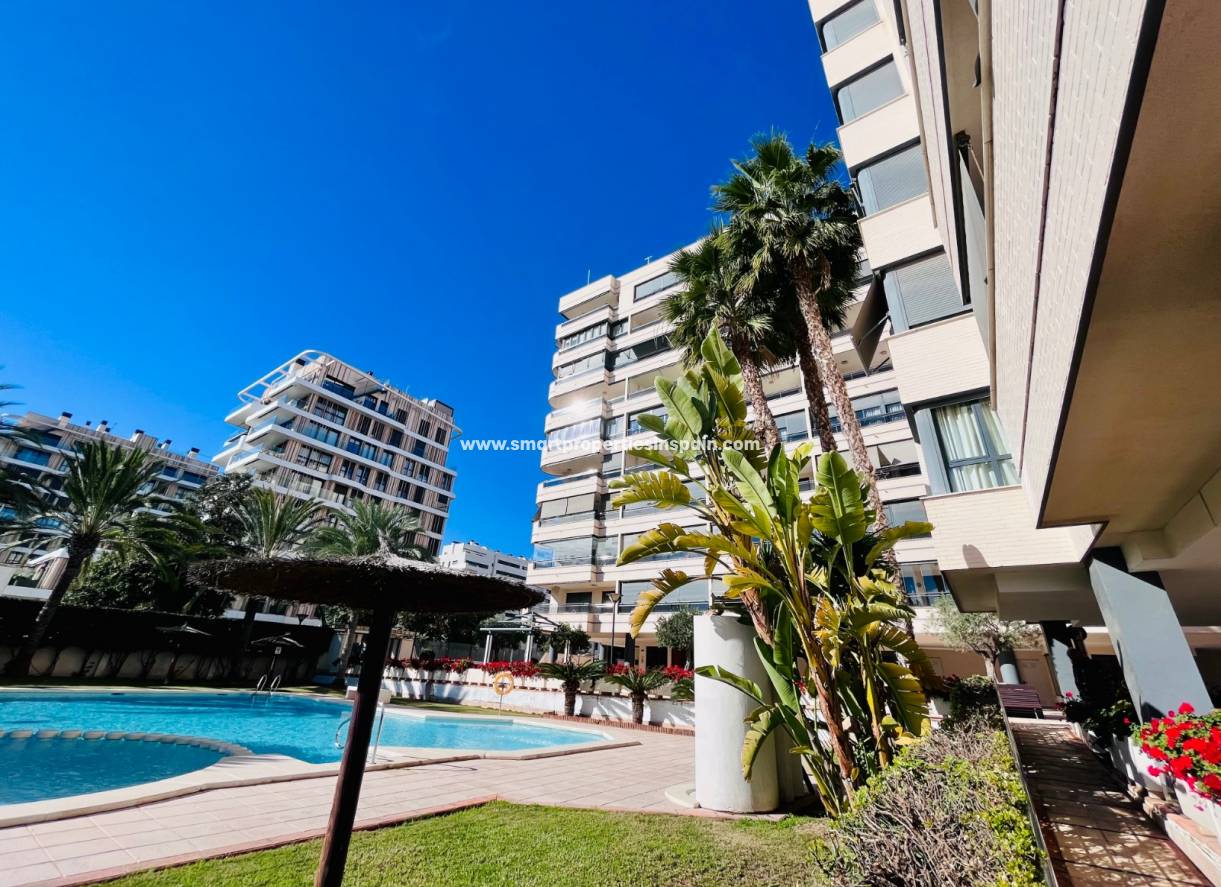 Resale - Apartment - San Juan Alicante - San Juan de Alicante