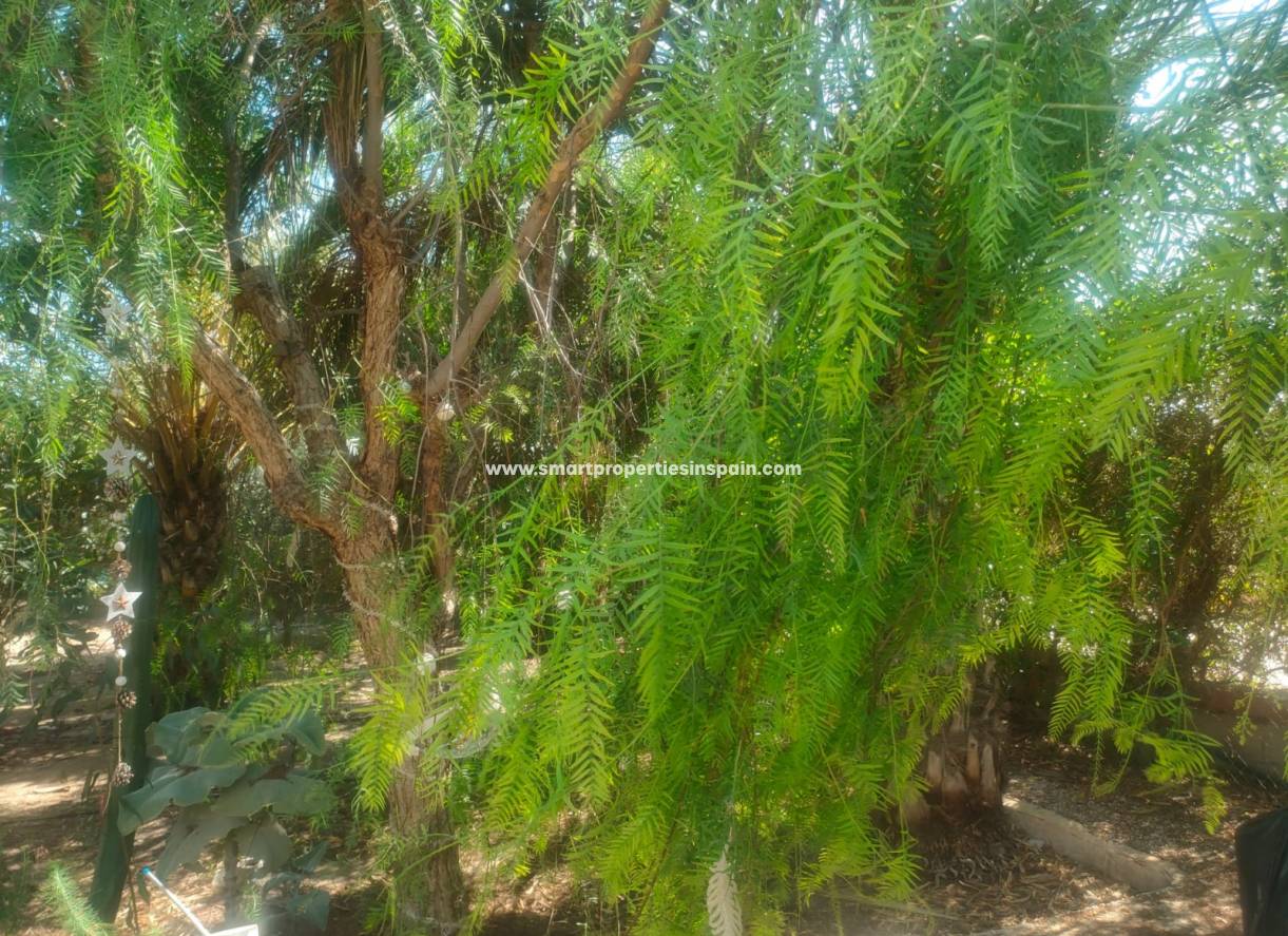 Resale - Country House - Elche - La hoya