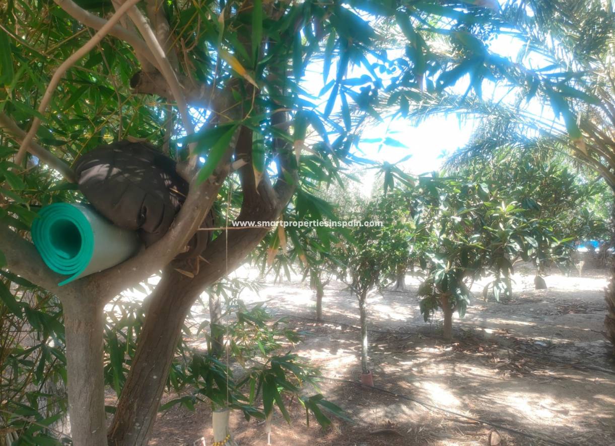 Resale - Country House - Elche - La hoya