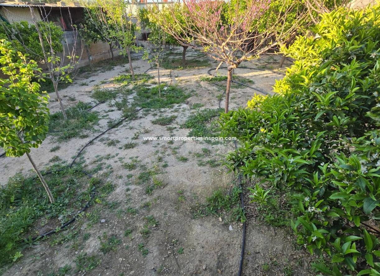 Resale - Detached Villa - Elche