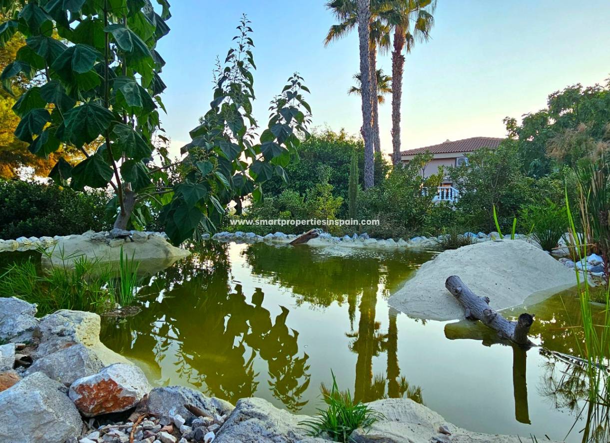 Resale - Detached Villa - Elche