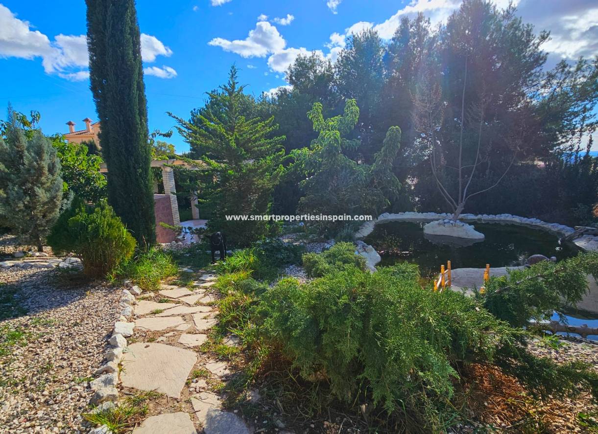 Resale - Detached Villa - Elche