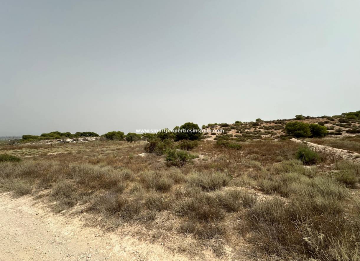 Resale - Plot - La Marina - Urbanización La Marina