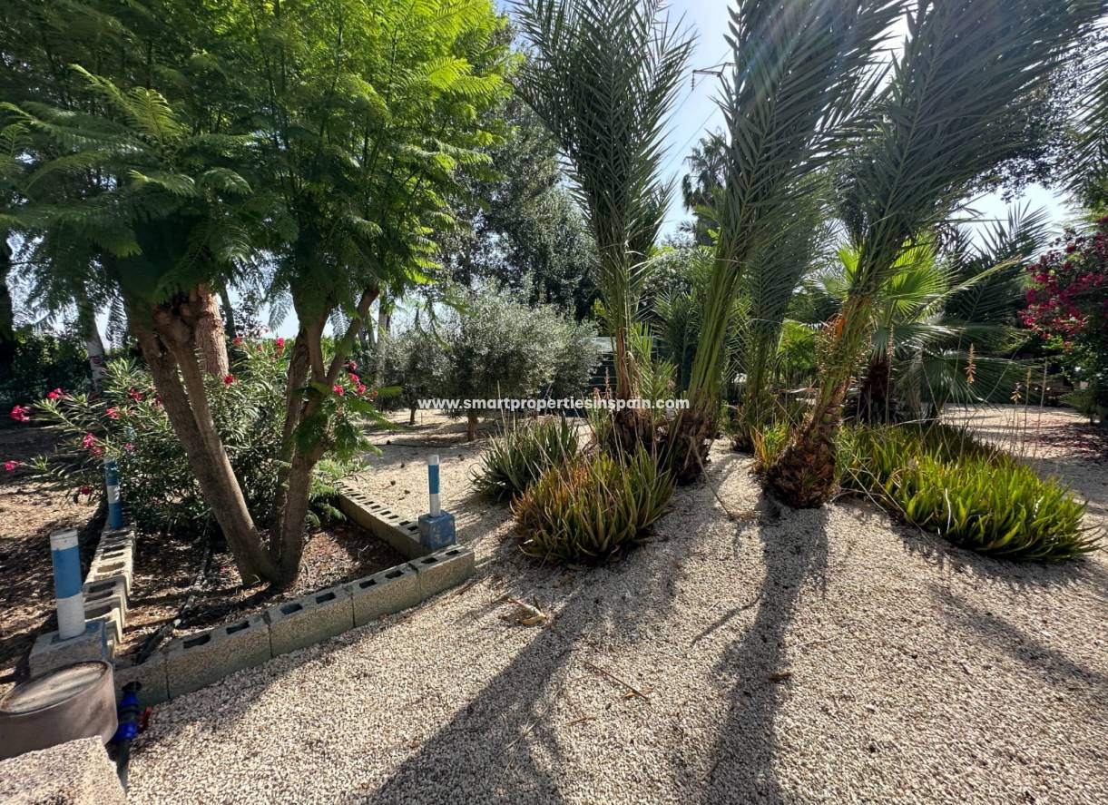 Reventa - Casa de campo - Crevillente