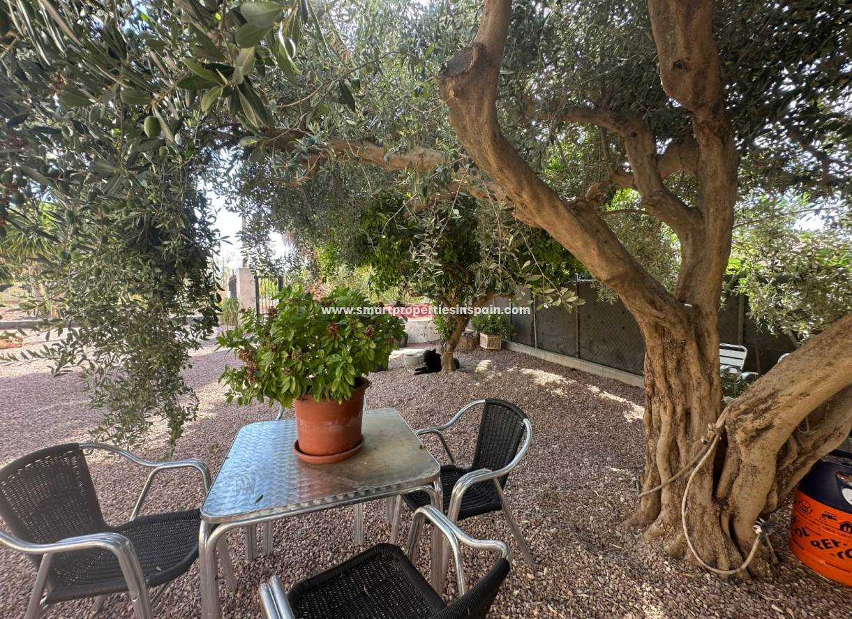 Reventa - Casa de campo - Crevillente