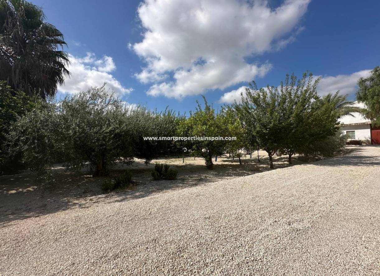 Reventa - Casa de campo - Crevillente