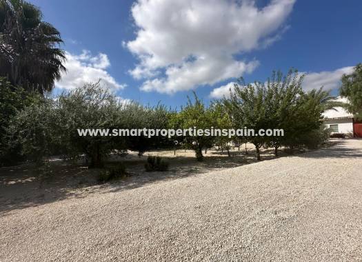 Reventa - Casa de campo - Crevillente