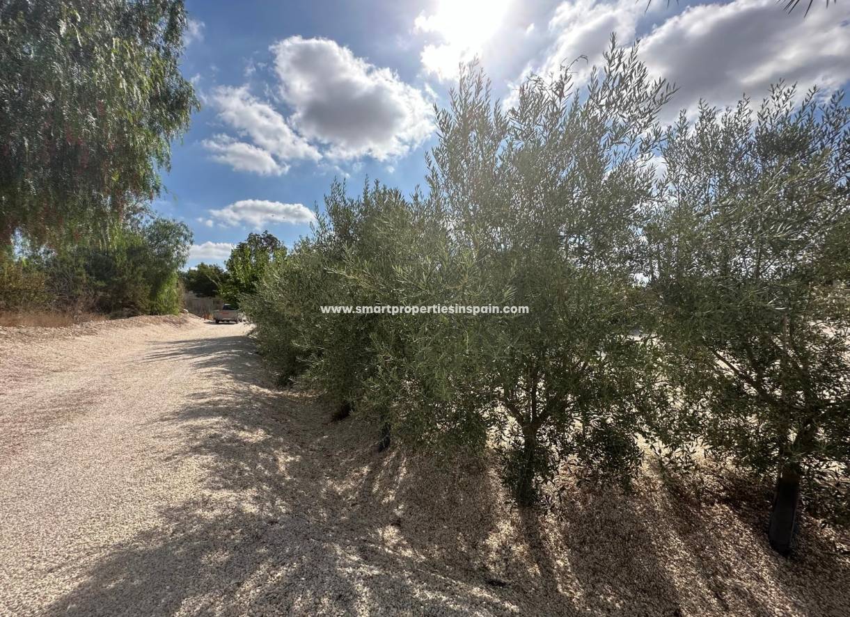 Reventa - Casa de campo - Crevillente