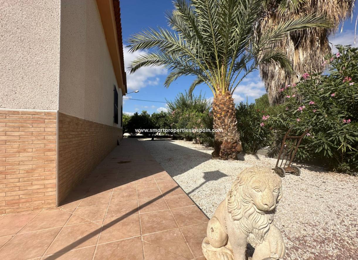 Reventa - Casa de campo - Crevillente