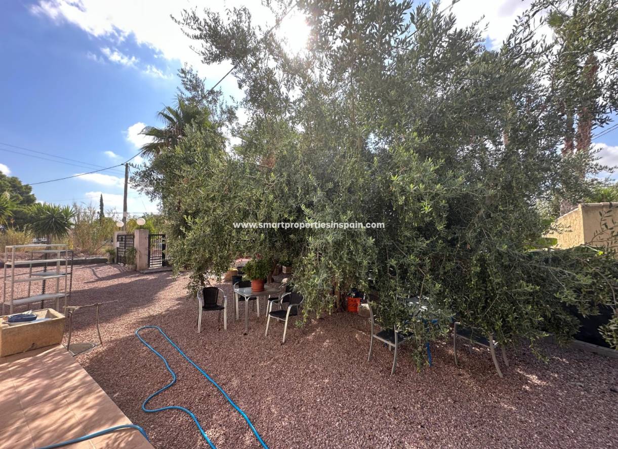 Reventa - Casa de campo - Crevillente