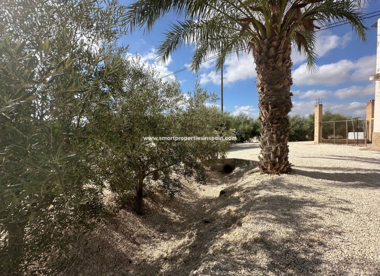 Reventa - Casa de campo - Crevillente