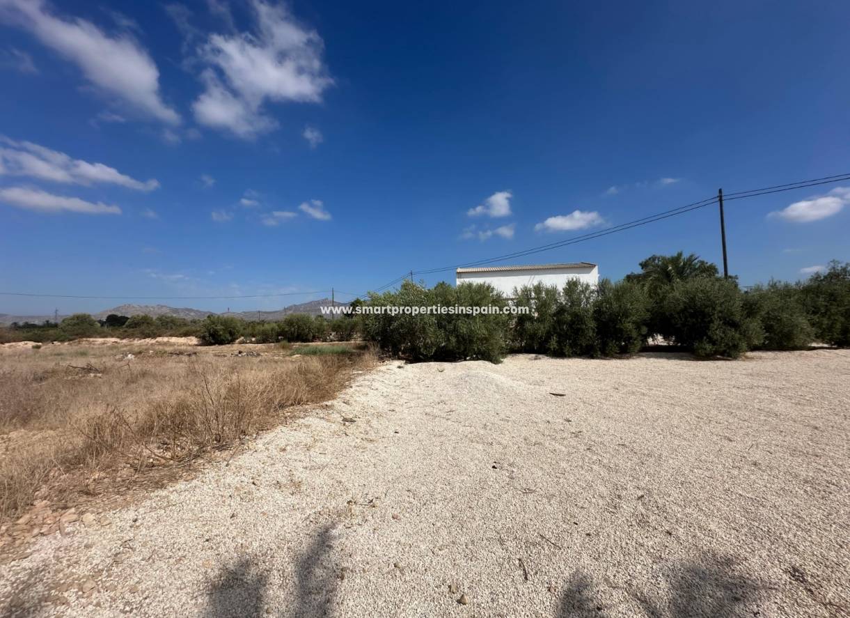 Reventa - Casa de campo - Crevillente