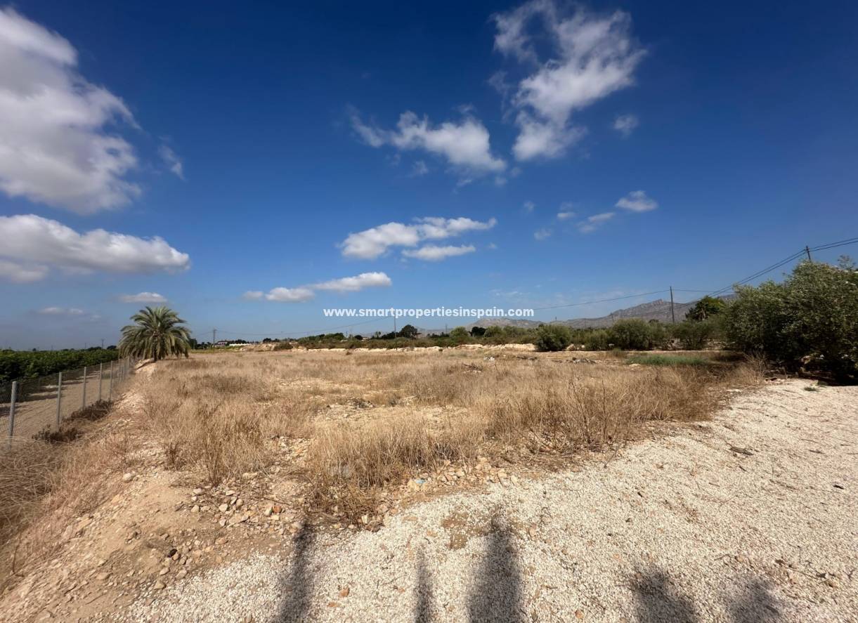 Reventa - Casa de campo - Crevillente