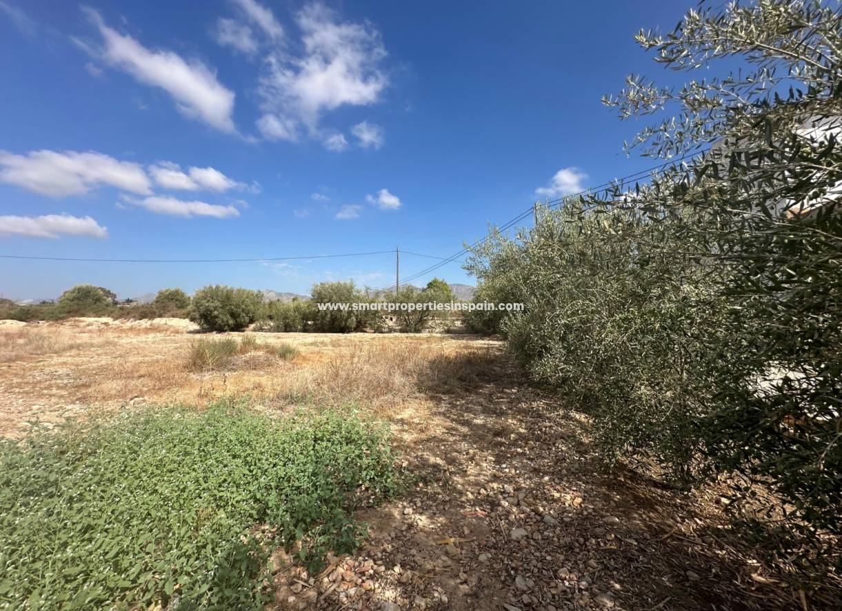 Reventa - Casa de campo - Crevillente