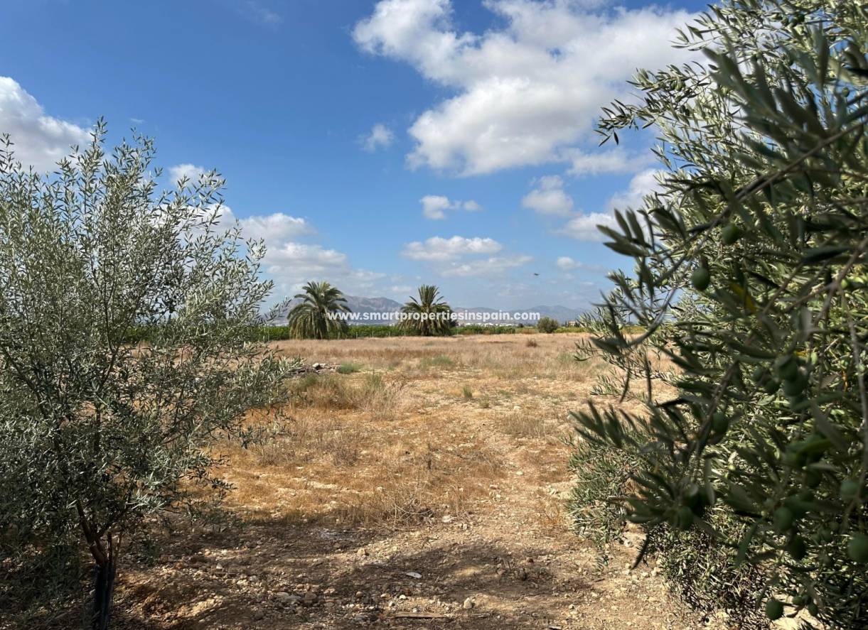 Reventa - Casa de campo - Crevillente
