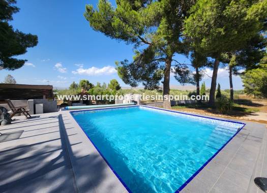 Reventa - Casa de campo - Villena