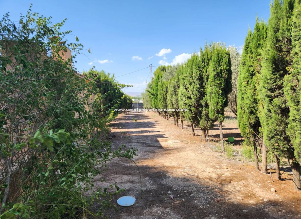 Reventa - Casa de campo - Villena
