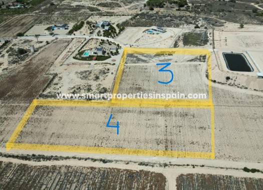 Reventa - Terreno - La Marina - Elche