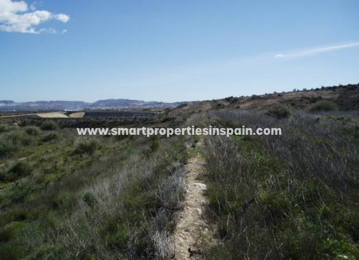 Reventa - Terreno -  - Novelda/La Romana