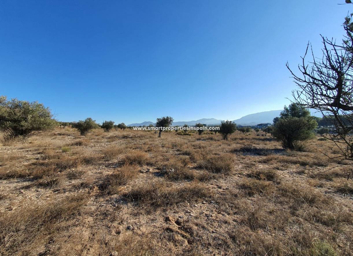 Reventa - Terreno - Villena