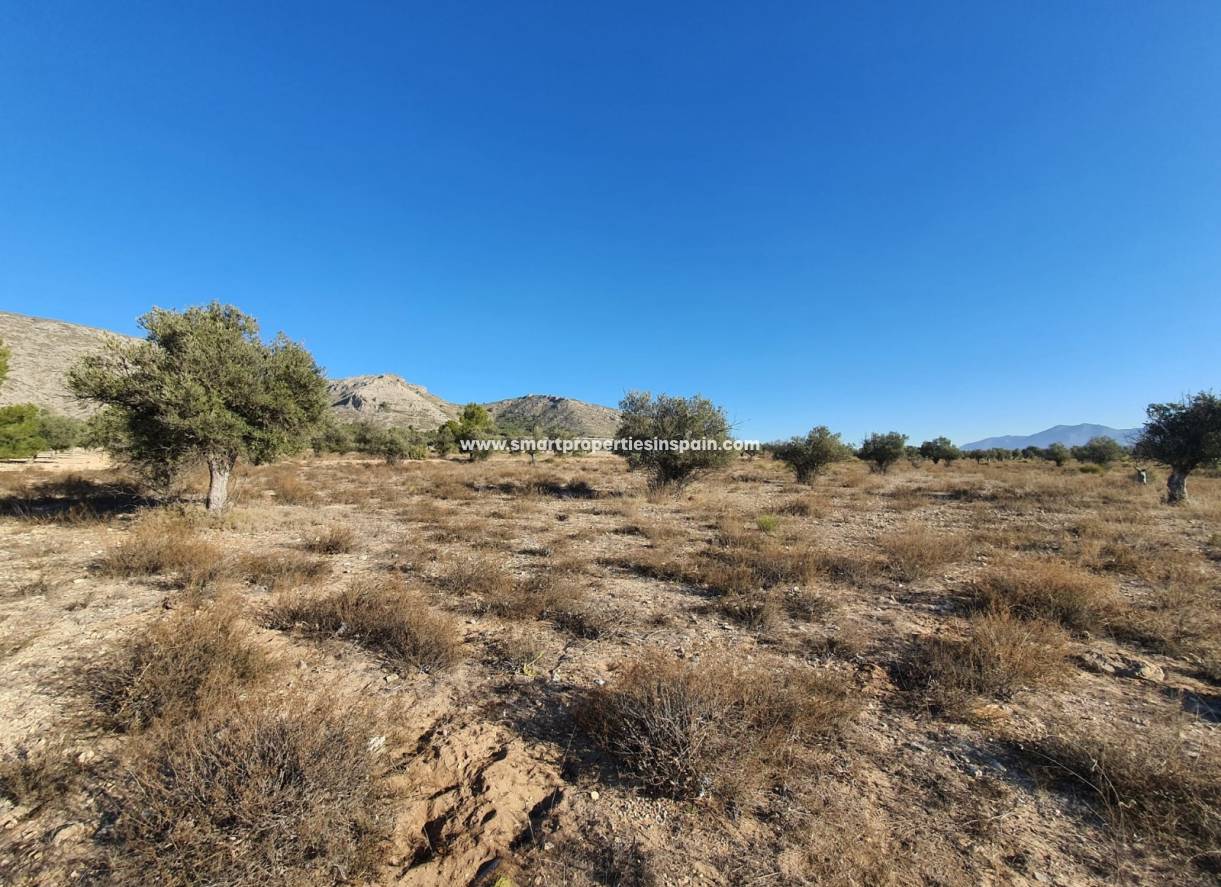 Reventa - Terreno - Villena