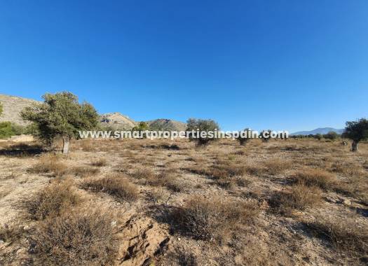 Reventa - Terreno - Villena