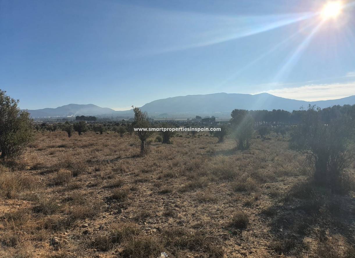 Reventa - Terreno - Villena