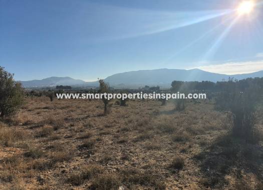 Reventa - Terreno - Villena
