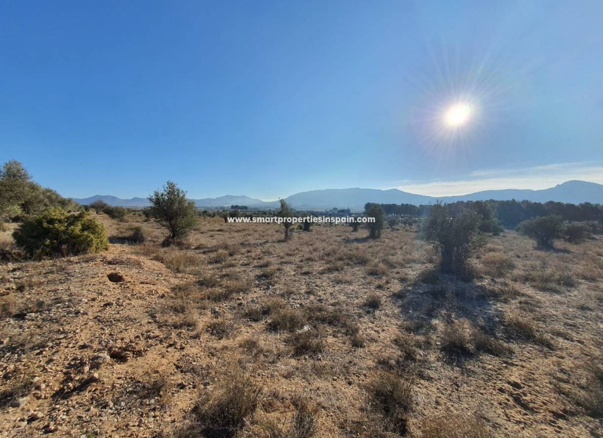 Reventa - Terreno - Villena